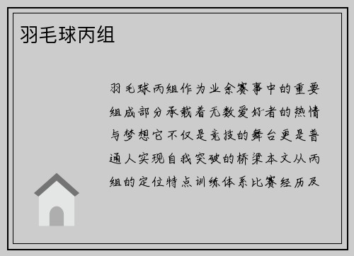 羽毛球丙组