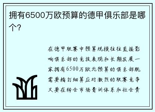 拥有6500万欧预算的德甲俱乐部是哪个？