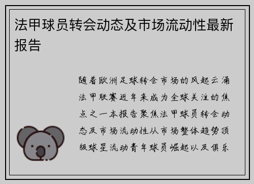 法甲球员转会动态及市场流动性最新报告